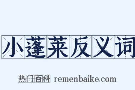 小蓬莱反义词是什么意思的图片